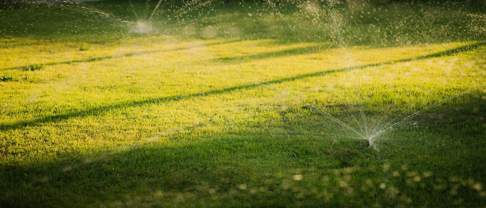 Sprinklers watering a healthy green lawn in the Phoenix East Valley